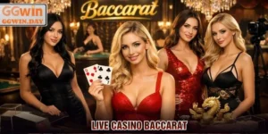 live-casino-baccarat