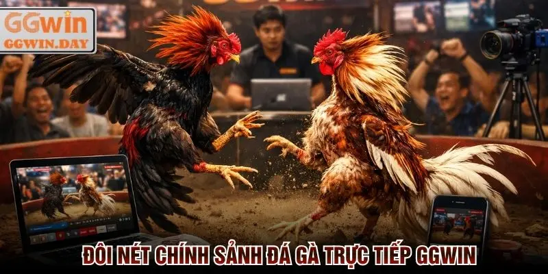 Đôi nét chính sảnh đá gà trực tiếp tại nền tảng nhà cái GGWin